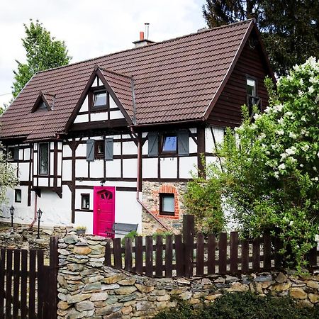 Za Rozowymi Drzwiami Villa Jelenia Gora Exterior photo
